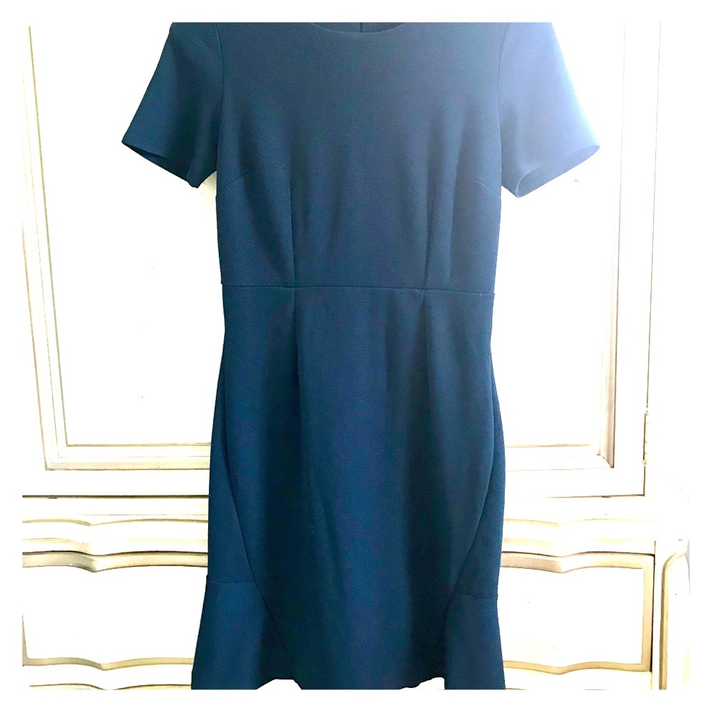 Banana Republic Pencil Shape Dress